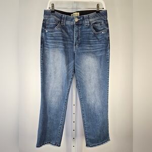 Democracy Ab Technology High Rise Straight Jeans Cropped Fringed Hem Size 12